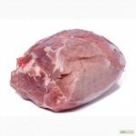СРОЧНО продам от производителя говядину и свинину на экспорт внутренний рынок с 20 тонн