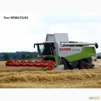 Уборка урожая 2024 года комбайнами Claas Lexion 600