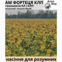 Насіння соняшника гібрид АМ ФОРТЕЦЯ
