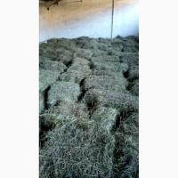 Продам лугове сіно великими об#039;ємами, доставка безкоштовна!Чекаємо на замовлення