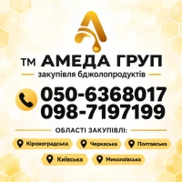АМЕДА ГРУП Закупівля меду оптом. Розрахунок одразу