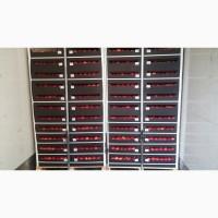 Продам яблука урожай 2025 року із власного саду