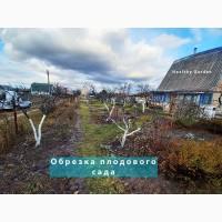 Обрезка плодовых деревьев, обрезка деревьев, услуги садовника, уход за газоном, садівник