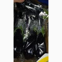 Продам помідор турція