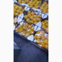 Продам помідор турція