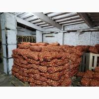 Продам цибулю з склада