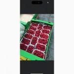 Продам саджанці Малини Маравіла