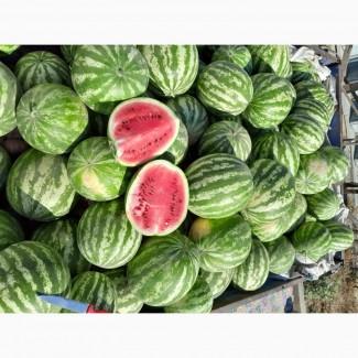 Продам кавун