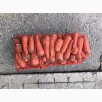 Продам моркву сорт Шантане та Артек