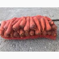 Продам моркву сорт Шантане та Артек