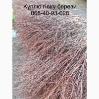 Куплю березову гілку