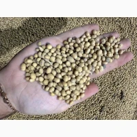 Куплю Сою! Гмо та не Гмо