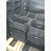 Продам ящики пластикові в хорошому стані для овочей, фруктів, речей. 50х40х15см