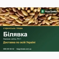 Білявка - суданська трава, насіння еліта, РН-1 з документами