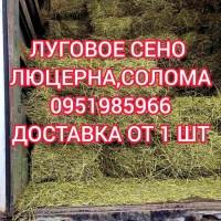 Сено люцерны, луговое в больших объемах с доставкой. Форма оплаты любая. Доступные цены