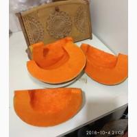 Продам семена тыквы чудо-юдо