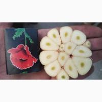 Пропонуємо воздушку на 2025р. доставка