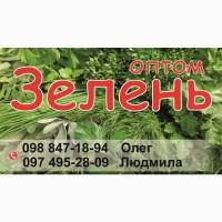 Зелень ОПТОМ