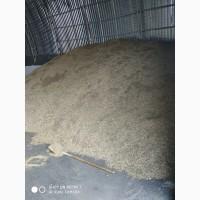 Продам отходы рапса