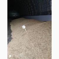 Продам отходы рапса