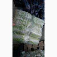 Продаем пекинскую капусту