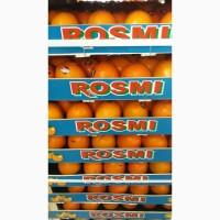 Продам хурму