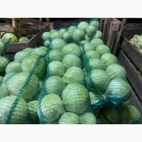 Продам капусту «Сторідор»