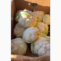 Продам цвітну капусту 1 сорт