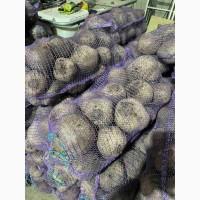 Продам картоплю буряк морква