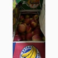 Продам яблука Гала 2 сорт