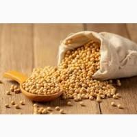 Купуємо сою. Продати сою