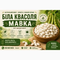 Продаж квасолі Біла мавка(рисовка)