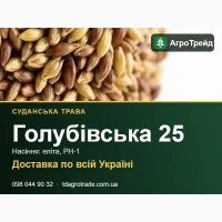 Суданська трава Голубівська 25: продаж насіння, еліта, РН-1