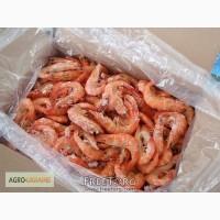 Продам креветку Азовско-Черноморская Сырая и Варенная крупная.