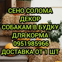 ДЛЯ ДЕКОРАЦИИ ТЮКИ. Сено луговое разнотравье, сено люцерны с доставкой