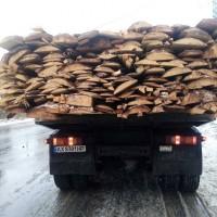 Продам дрова, обрезки, горбыль. Сосна