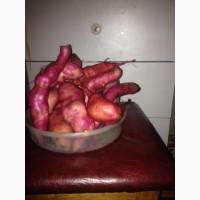 Продам батат