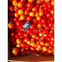 Продам помидоры красный, зеленый