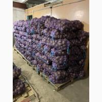 Продам товарный картофель