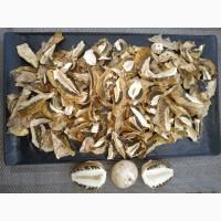 Веселка сушена найвищого ґатунку