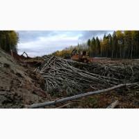 Закупаем отходы древесины от 500 м куб