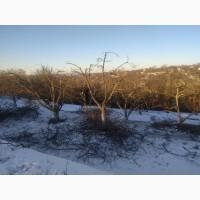 Обрізка саду.Послуги садівника, обприскування, озеленення, догляд