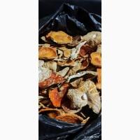 Мухомор червоний 3 сорт 25 року