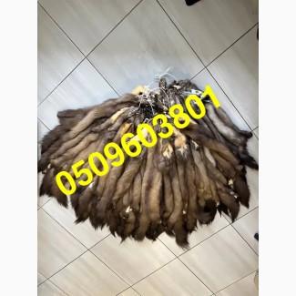 Купуємо шкіри/хутро куниці ДОРОГО ПО УСІЙ УКРАЇНІ