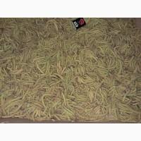 Продам сухі сережки (цвіт) ліщини