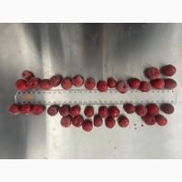 Продам вишню заморожену з кісточкою