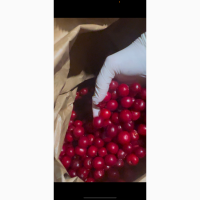 Продам вишню заморожену з кісточкою