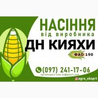 Гібрид кукурудзи ДН Кияхи (ФАО 190). Насіння від виробника