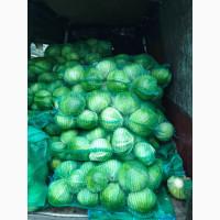 Продам капусту агресор