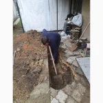 Земляные работы Дарница